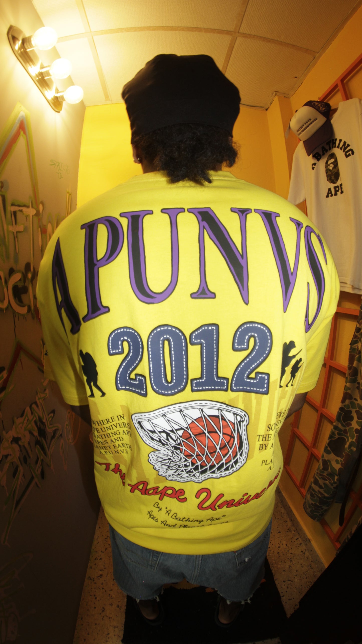 AAPE 2012