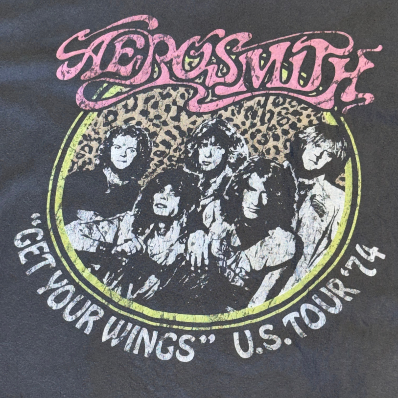 Aerosmith Band Tee