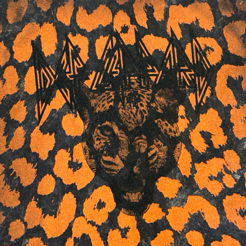 Def leppard Tee