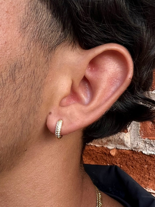 Micropave Hoop Earings